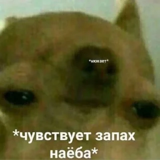 Стикер Жизяка🥲 - 1