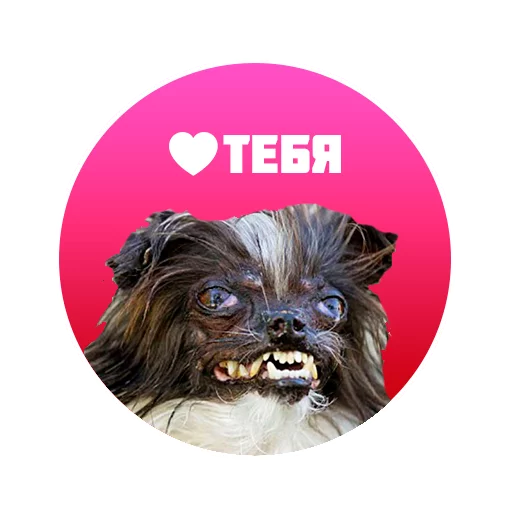 Sticker ZhoregKnows - 1