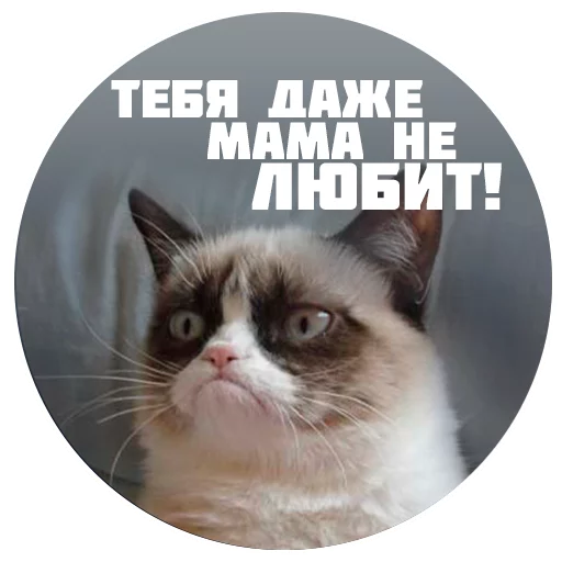 Стикер ZhoregKnows - 1