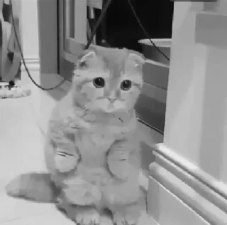 Стикер @marrcinho 2 - 4