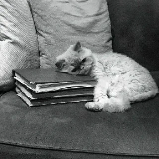 Стикер @marrcinho 2 - 6