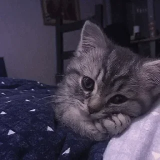 Стикер @marrcinho 2 - 5