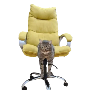 Sticker Zhuk_kit - 3