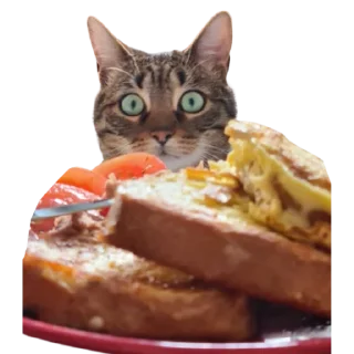 Sticker Zhuk_kit - 10