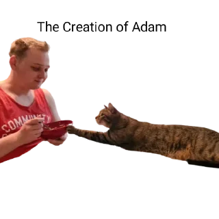 Sticker Zhuk_kit - 1