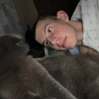 Sticker жуковка шарага 2.0 - 1