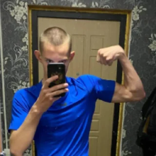 Sticker жуковка шарага 2.0 - 0