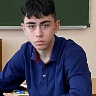 Sticker жуковка шарага 2.0 - 7