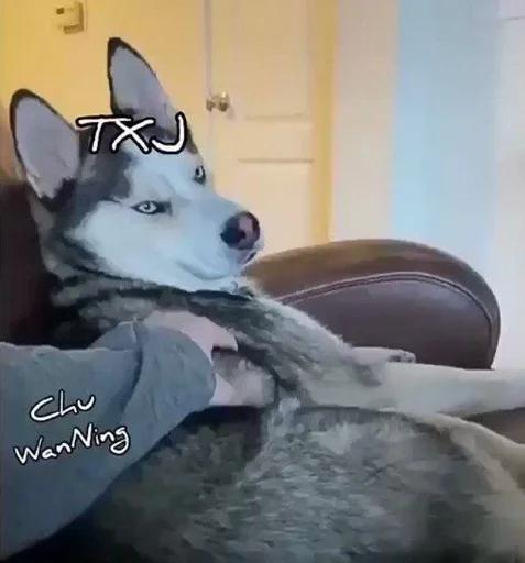 Стикер ZibetFetMage_by_fStikBot :: @fStikBot - 11