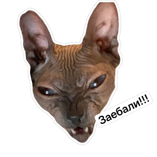 Зефирочка - 