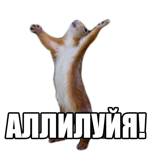 Стикер Я лучшая ? by @fStikBot - 10