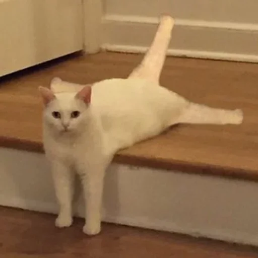 Стикер Я лучшая ? by @fStikBot - 4