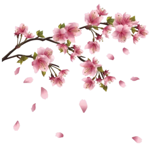 цветок растение цветок