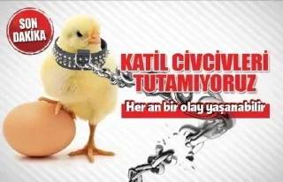 Стикер Больше @sbornik_stickers - 2