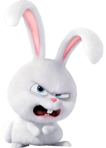 кролик кролик мультфильм