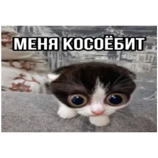 Sticker Злыдни - 9