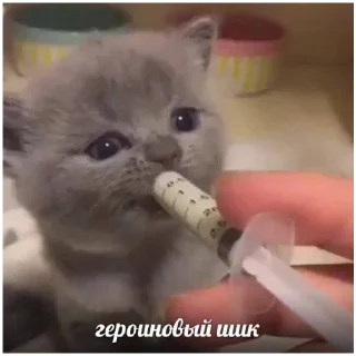 Sticker Злыдни - 11