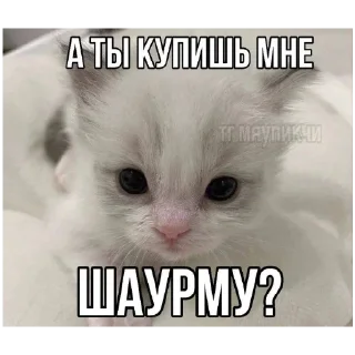 Sticker Злыдни - 7