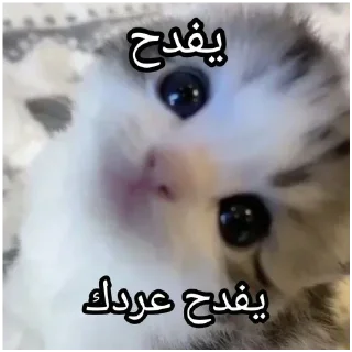 Sticker Злыдни - 5