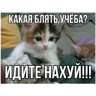 Sticker Злыдни - 2