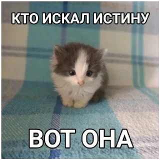 Sticker Злыдни - 6