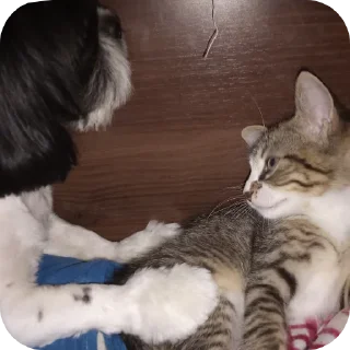 Sticker Злыдни - 1