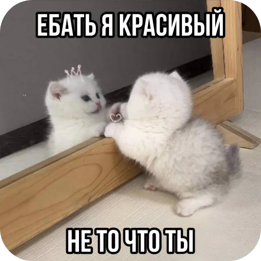 Sticker Zlye_kotiki3 - 1