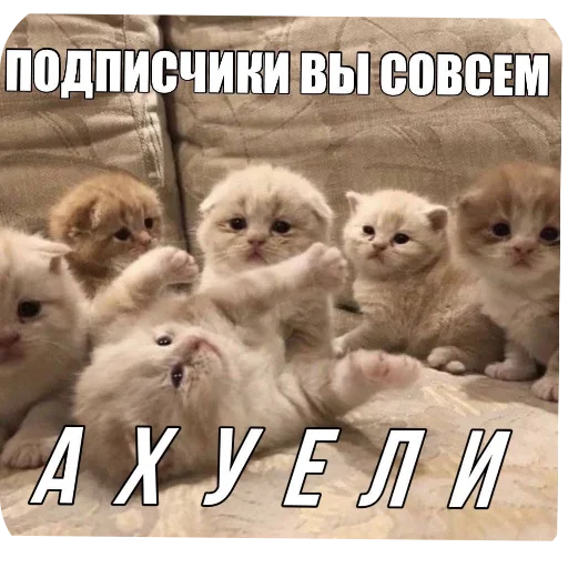 Sticker Zlye_kotiki3 - 1