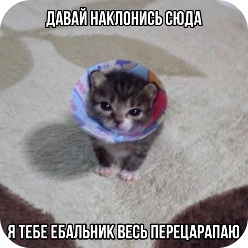 Sticker Zlye_kotiki3 - 1