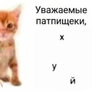 Sticker Злые котики @Trueinsanityisreal - 6