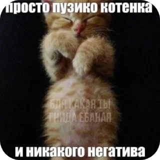 Sticker Злые котики @Trueinsanityisreal - 7