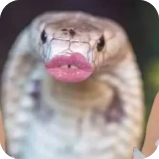 Стикер AnnaConda - 5