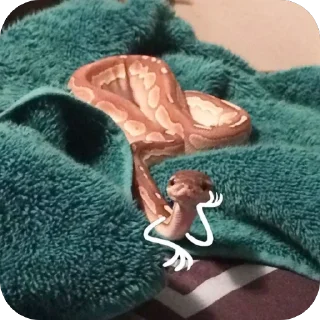 Стикер AnnaConda - 1