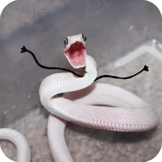 Стикер AnnaConda - 8