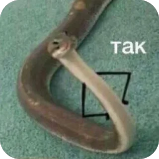 Стикер AnnaConda - 10