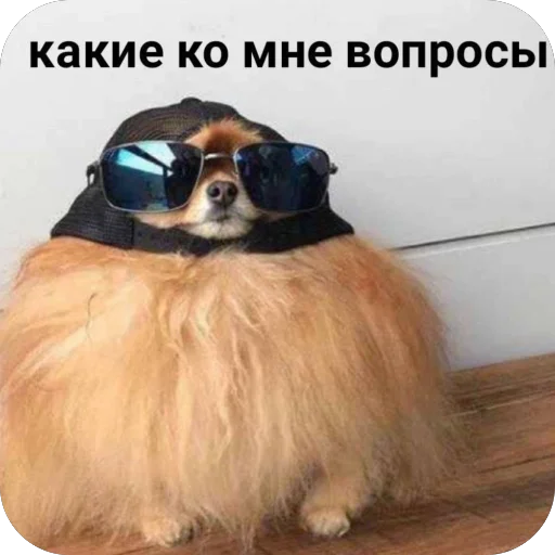 Стикер ZmeinyjShik - 1