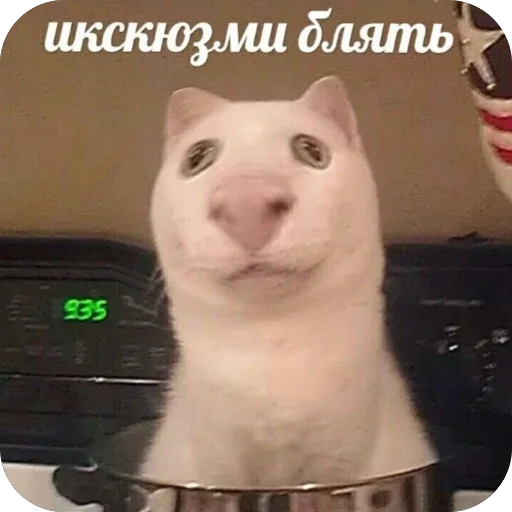 Стикер ZmeinyjShik - 1