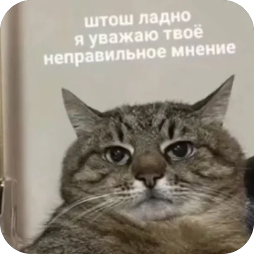 Стикер ZmeinyjShik - 1