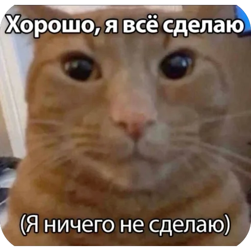 Sticker ZmeinyjShik - 1