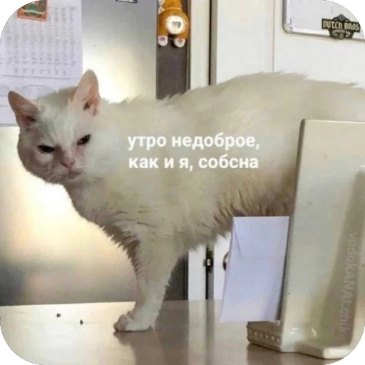 Sticker ZmeinyjShik - 1