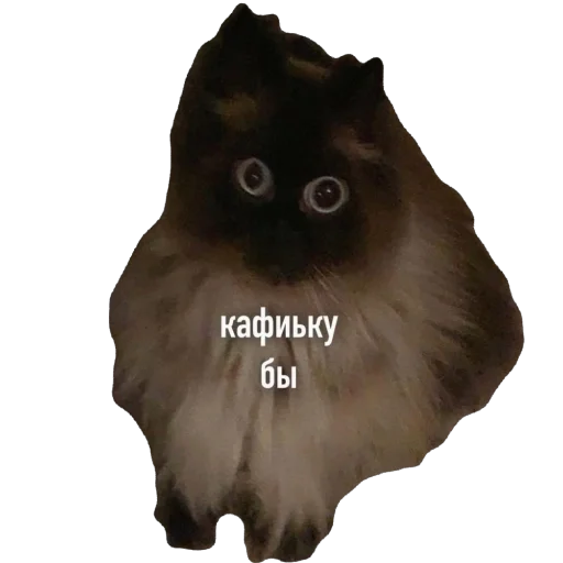 Стикер ZmeinyjShik - 1