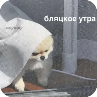 Стикер Змеиный шик - 8