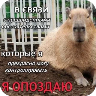 Стикер Змеиный шик - 3