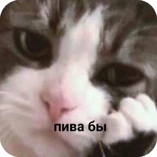 Стикер Змеиный шик - 4