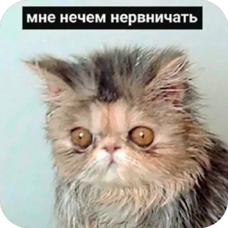 Стикер Змеиный шик - 5