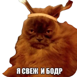 Стикер Змеиный шик - 9