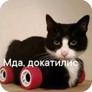 Стикер Змеиный шик - 7