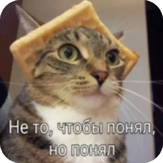 Стикер Змеиный шик - 10