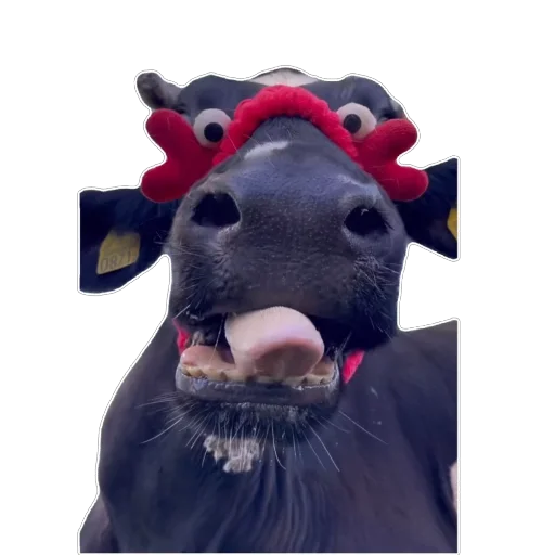 Sticker ZmejkaStikery - 1