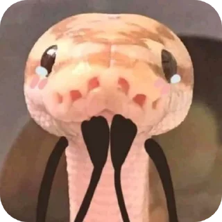 Sticker Змейки🐍 - 3